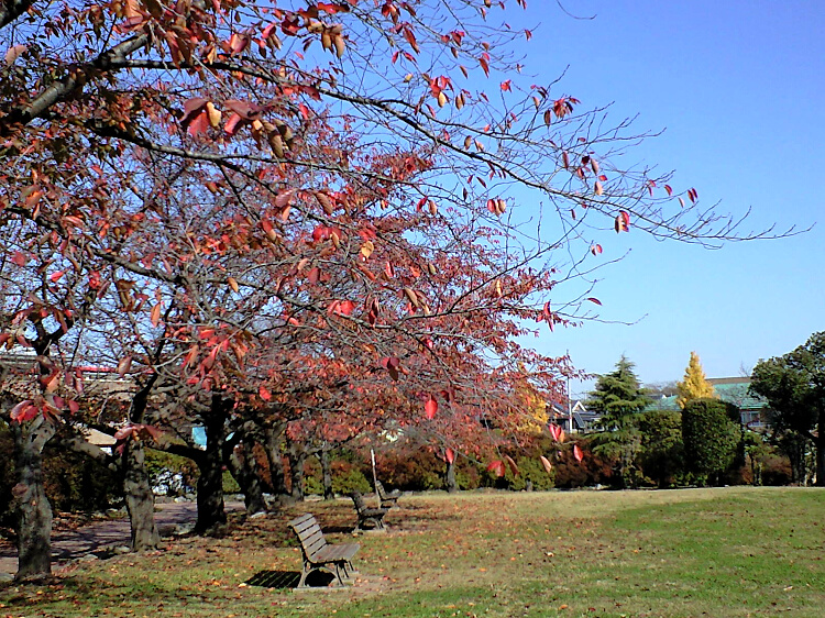 水城公園の写真