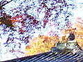 喜多院　慈眼寺の屋根と紅葉１