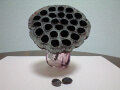 古代蓮の花托と種の写真