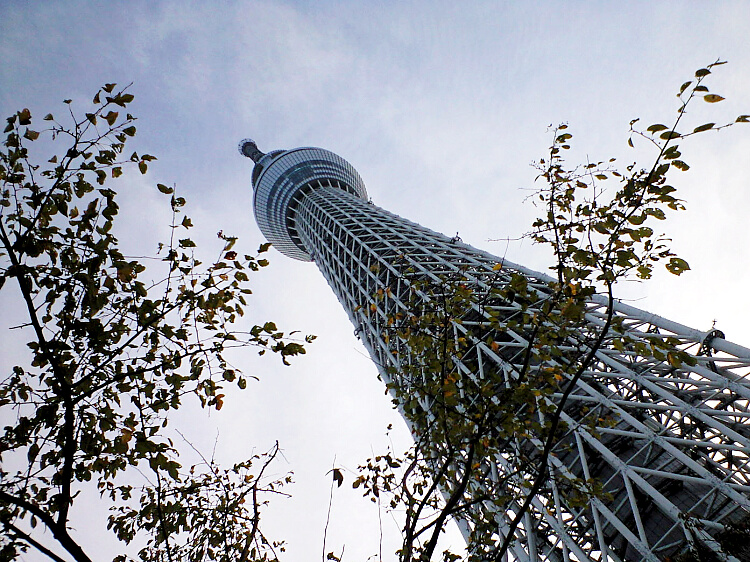 スカイツリーの写真３