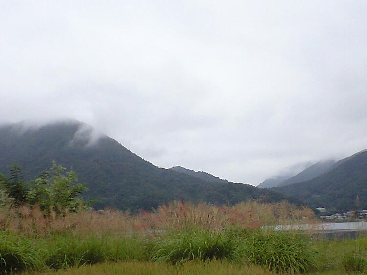 河口湖とススキの写真