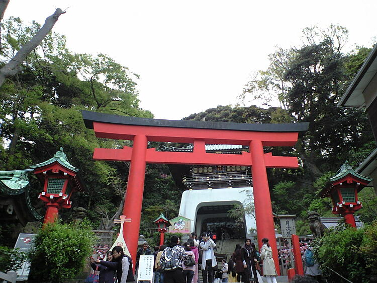 瑞心門と鳥居の写真