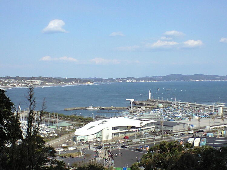 海の写真３