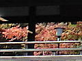 喜多院　渡り廊下