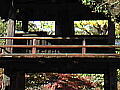 中院　鐘楼門２