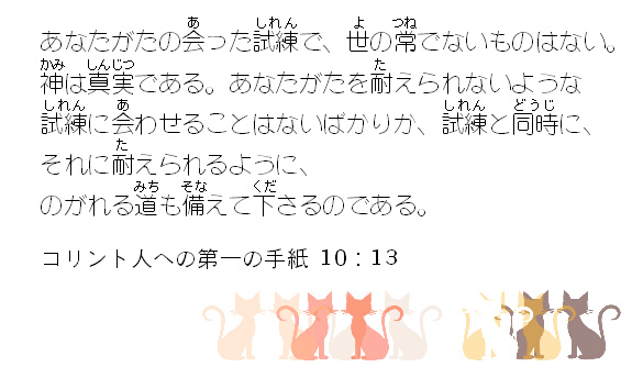 聖句カード